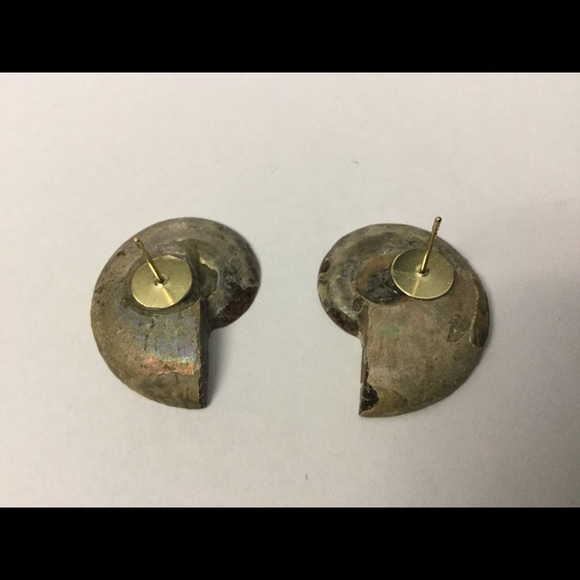 Handmade Studs Earrings made of Natural Ammonite Fossil - Picture 2 of 2